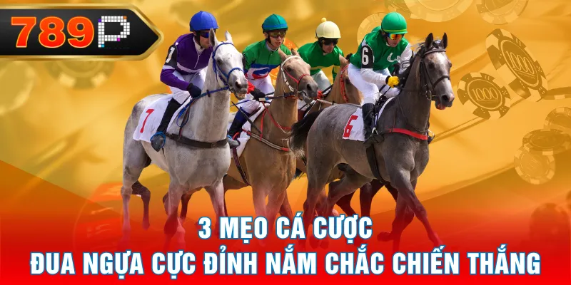 3 Mẹo Cá Cược Đua Ngựa Cực Đỉnh Nắm Chắc Chiến Thắng