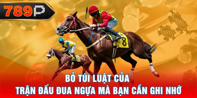 Bỏ túi luật của trận đấu đua ngựa mà bạn cần ghi nhớ Bỏ túi luật của trận đấu đua ngựa mà bạn cần ghi nhớ