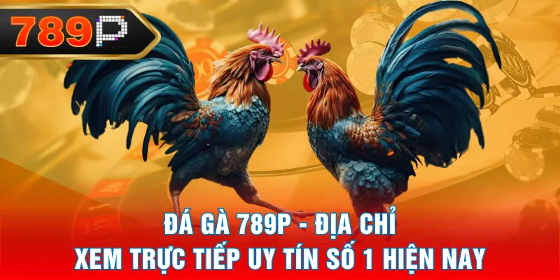 Đá Gà 789P - Địa Chỉ Xem Trực Tiếp Uy Tín Số 1 Hiện Nay Đá Gà 789P - Địa Chỉ Xem Trực Tiếp Uy Tín Số 1 Hiện Nay