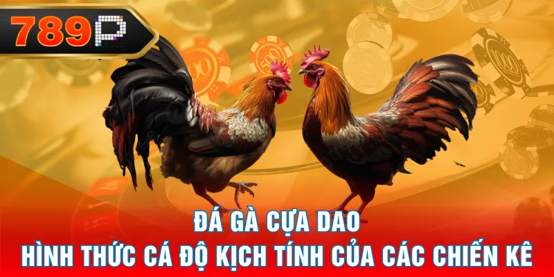 Đá Gà Cựa Dao - Hình Thức Cá Độ Kịch Tính Của Các Chiến Kê