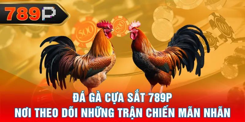 Đá Gà Cựa Sắt 789P - Nơi Theo Dõi Những Trận Chiến Mãn Nhãn