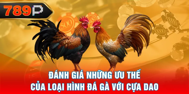 Đánh giá những ưu thế của loại hình đá gà với cựa dao Đánh giá những ưu thế của loại hình đá gà với cựa dao