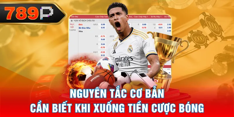 Nguyên tắc cơ bản cần biết khi xuống tiền cược bóng Nguyên tắc cơ bản cần biết khi xuống tiền cược bóng