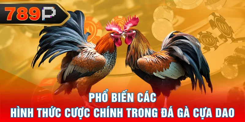 Phổ biến các hình thức cược chính trong đá gà cựa dao Phổ biến các hình thức cược chính trong đá gà cựa dao