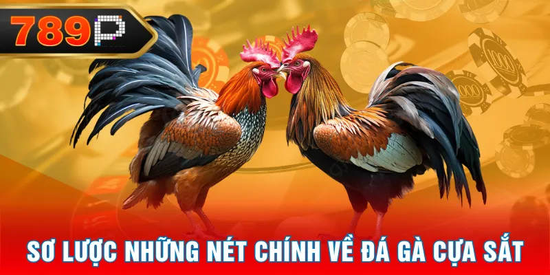 Sơ lược những nét chính về đá gà cựa sắt Sơ lược những nét chính về đá gà cựa sắt