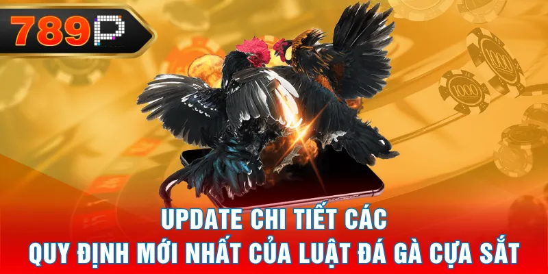 Update chi tiết các quy định mới nhất của luật đá gà cựa sắt Update chi tiết các quy định mới nhất của luật đá gà cựa sắt